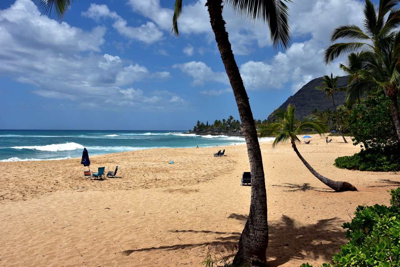 A beach near our Hawaiian Princess Rentals, with umbrellas and palm trees in view